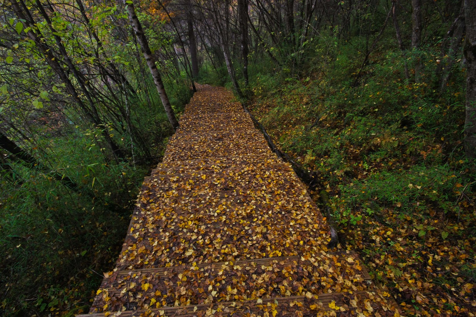 Fall was in full force. Sneaking away from the crowds we found some ...