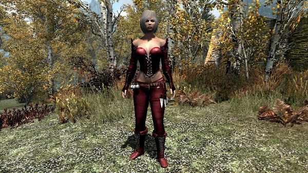 Custom armor for The Elder Scrolls V Skyrim