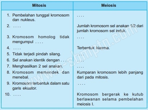 Perbedaan Pembelahan Mitosis, Meiosis, dan Amitosis