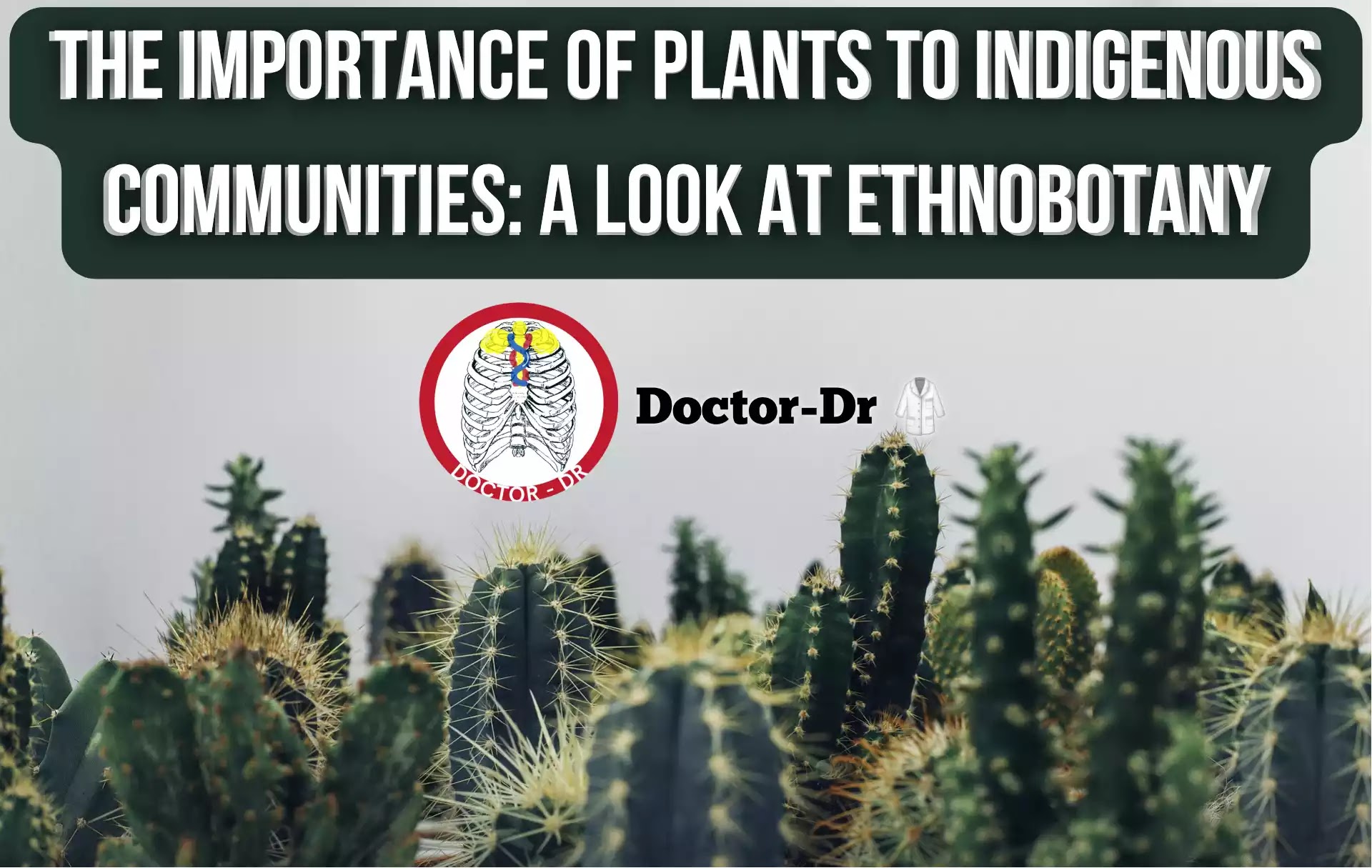 Ethnobotany: Exploring the Cultural and Medicinal Significance of Plant Diversity in Indigenous Communities