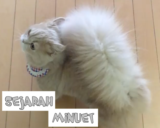 Sejarah Kucing Minuet