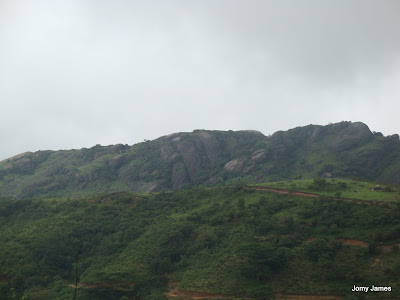 Wagamon Meadows