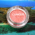 Review: Clinique Pop Blush - Ginger Pop