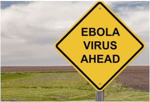 Ebola virus