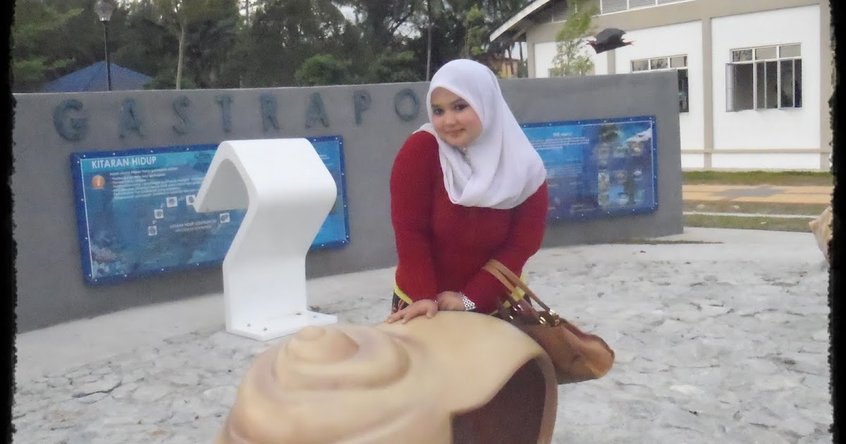 Resepi Ayam Bakar Tak Pedas - Surasmi Y
