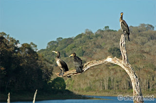 periyar photos 2