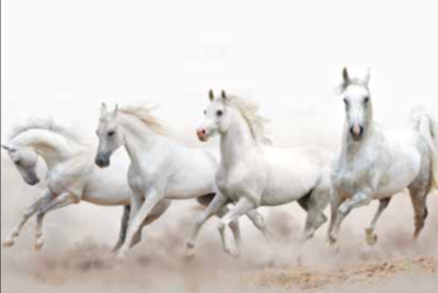 Como entender a menção a cavalos brancos no céu?