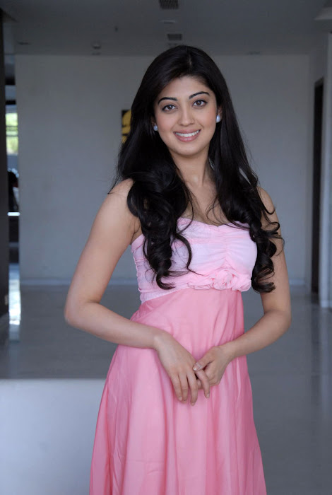 pranitha cute stills