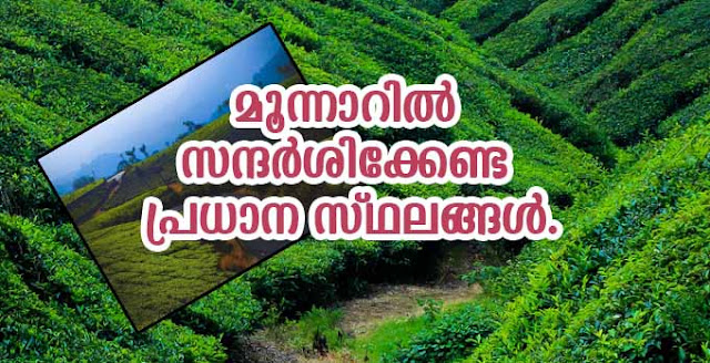 Places to visit in munnar