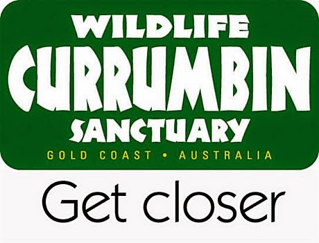 http://stuatthezoo.blogspot.com.au/2013/04/currumbin-wildlife-sanctuary-gold-coast.html