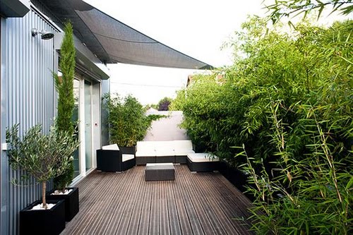 jardin en una terraza o azotea