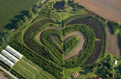 hearts in nature