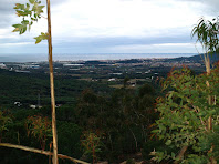 Blanes i la costa vistes des del Camí de l'Aigua