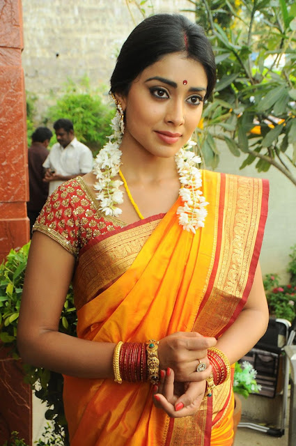 Tamil actress Shreya latest photos in saree 2015