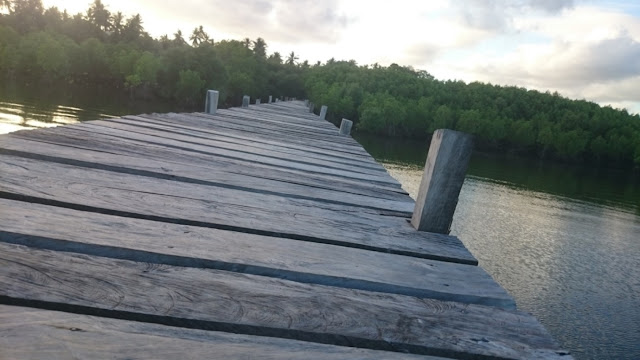 hutan-mangrove-mata-lalang-selayar