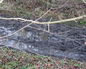 The state of the footpath along Bogey Lane in February 2011.
