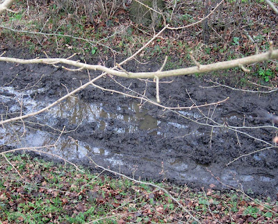 The state of the footpath along Bogey Lane in February 2011.