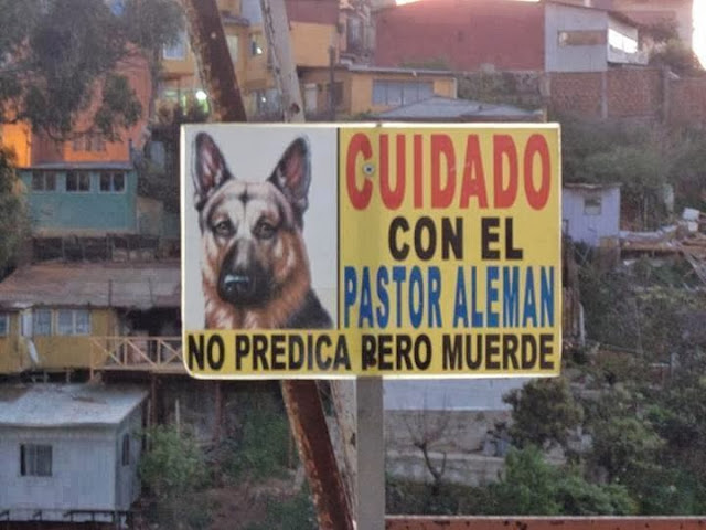 cuidado-con-el-pastro-aleman-no-predica-pero-muerde chiste de perros, humor de perros, perro, chiste, humor, pastor, aleman, predicar,