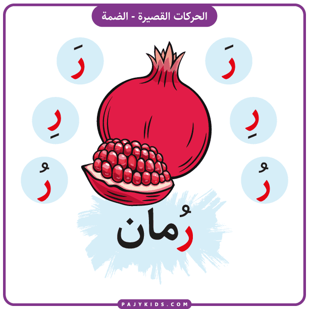 أحرف العربية - بطاقة حرف الراء بالضمة - رُمان