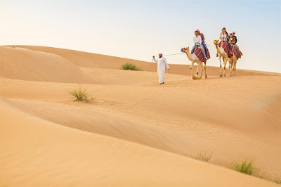 Evening desert safari