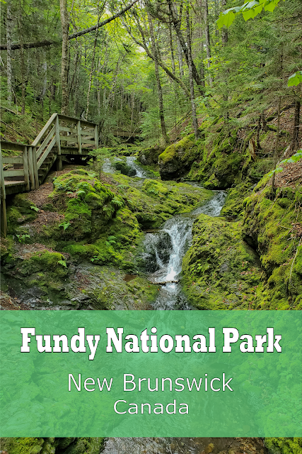 A Complete Guide to Fundy National Park Camping