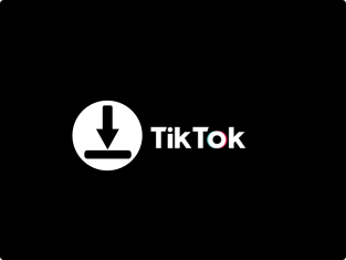 Ikon download Tiktok