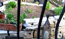 Wishing well 11