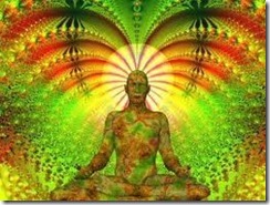 ayahuasca 3