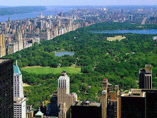 Central Park, New York Wallpaper