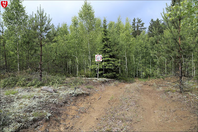 Налибокская пуща. Запрещающий знак