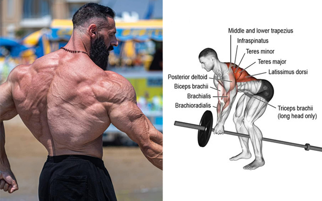 Build A Thick & Wide Back With These 5 Back Exercises