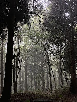 嘉義,阿里山,眠月線,沼平車站