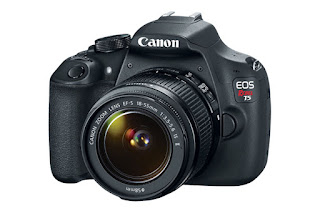 Enter To Win a Canon Rebel T5 Camera from National Geographic