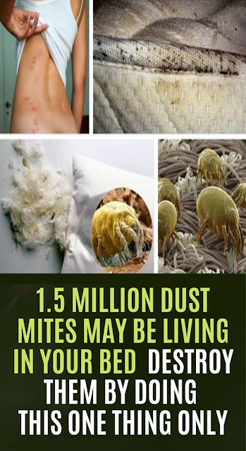 1.5 Million Dust Mites May Be Living In Your Bed! Destroy Them By Doing This One Thing !!