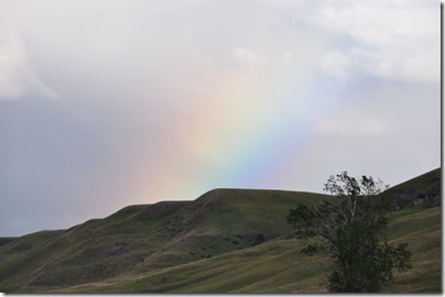 Yellowstone 2009 004