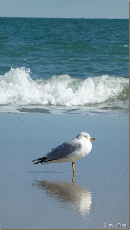North Beach_023