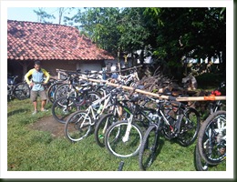 IMG00257-20101127-0738