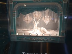 2015.12.07-029 vitrine Tiffany