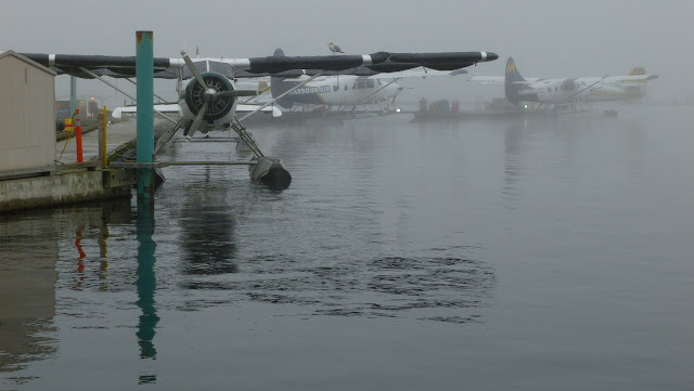 On a foggy day like this, the float plane fleet is "grounded"