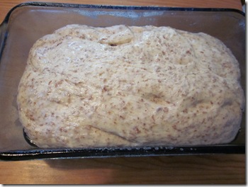bread 006