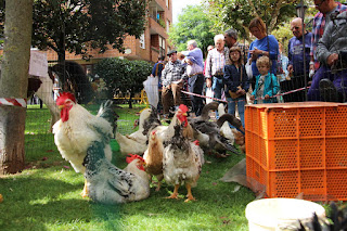 Feria Agrícola y Artesana de Zuazo Arteagabeitia