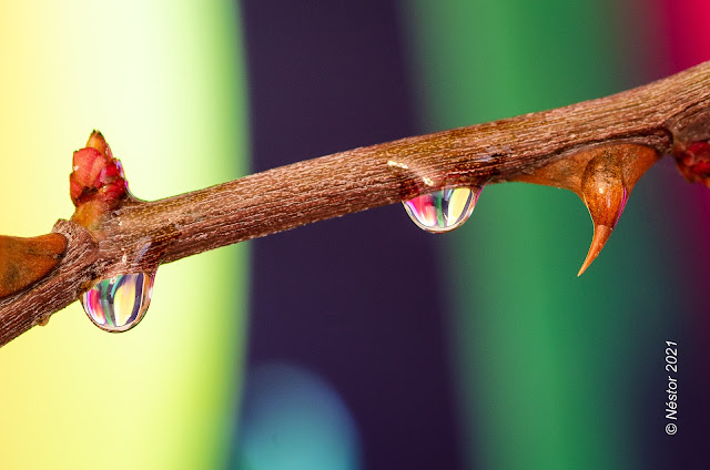 Fotografía creativa