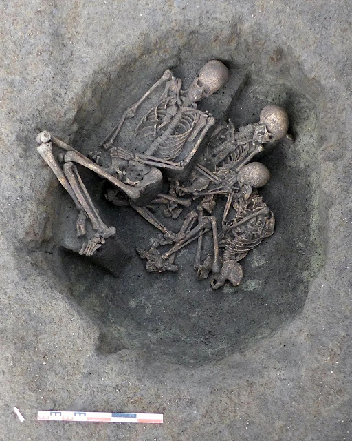 Ταφή 5473 στο τέλος της ανασκαφής του ταφικού στρώματος. Στον πυελικό όγκο του τελευταίου ατόμου που θάφτηκε (αριστερά), παρατηρήστε την παρουσία μιας αιχμής βέλους από πυριτόλιθο. [Credit: INRAP]