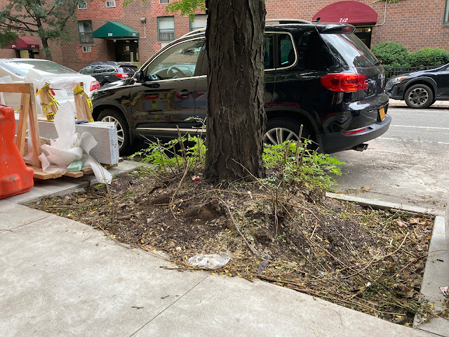 This tree bed was expanded