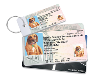 Dog Drivers License ID
