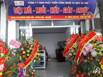 Bán thuốc diệt mối tại Đông Anh