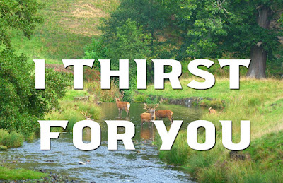 Group of deer by a running stream