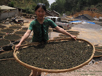 Le thé en ligne de Nana Ding est soigneusement sélectionné. Elle se rend en Chine plusieurs fois par an choisir des thés rares et des thés d'exception.