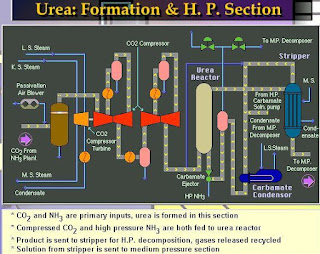 Flow sheet of urea formation process 