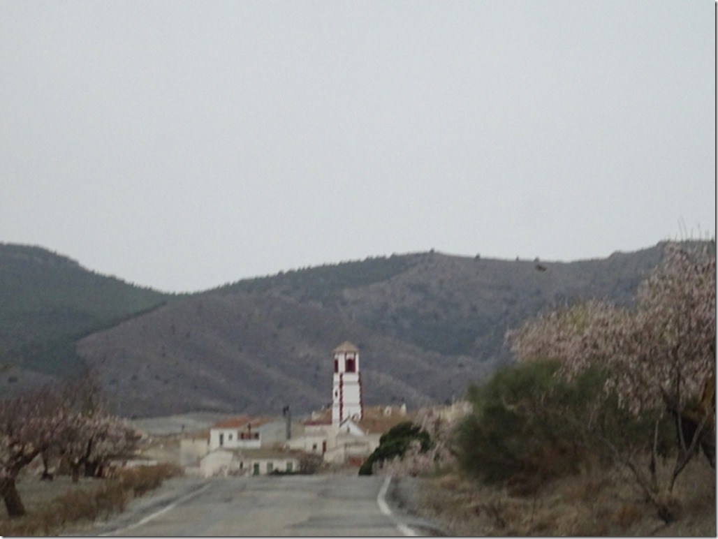 4-DSC05446